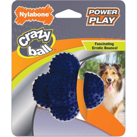 Tfh Publications & Nylabone Power Play Crazy Ball Toy NPLY019P
